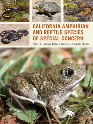 cover image of California Amphibian and Reptile Species of Special Concern
